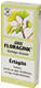 SALUS FLORAGINK GINKGO DRAZS�